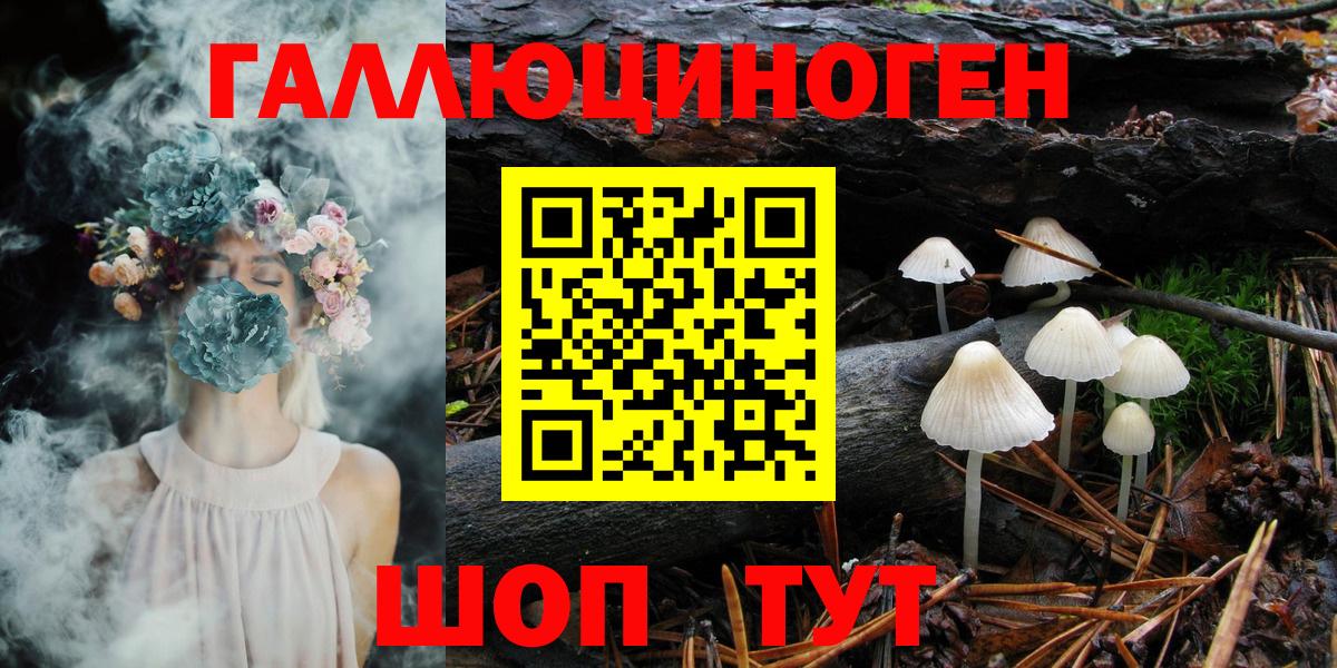 Галлюциногенные грибы Cubensis  Вход с VPN  Псилоцибиновые грибы прущие грибы  Курганинск 